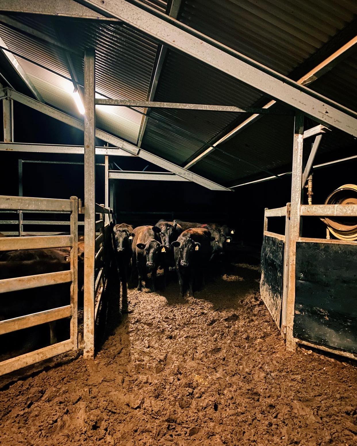 The 1’ers that make a difference in Artificial Reproduction