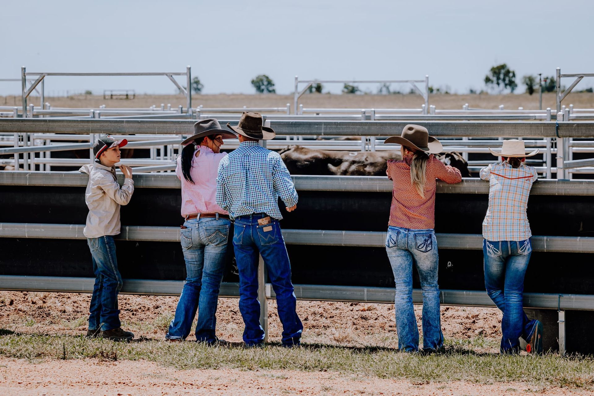 Group of people in cowboy hats watching cattle in a pen.