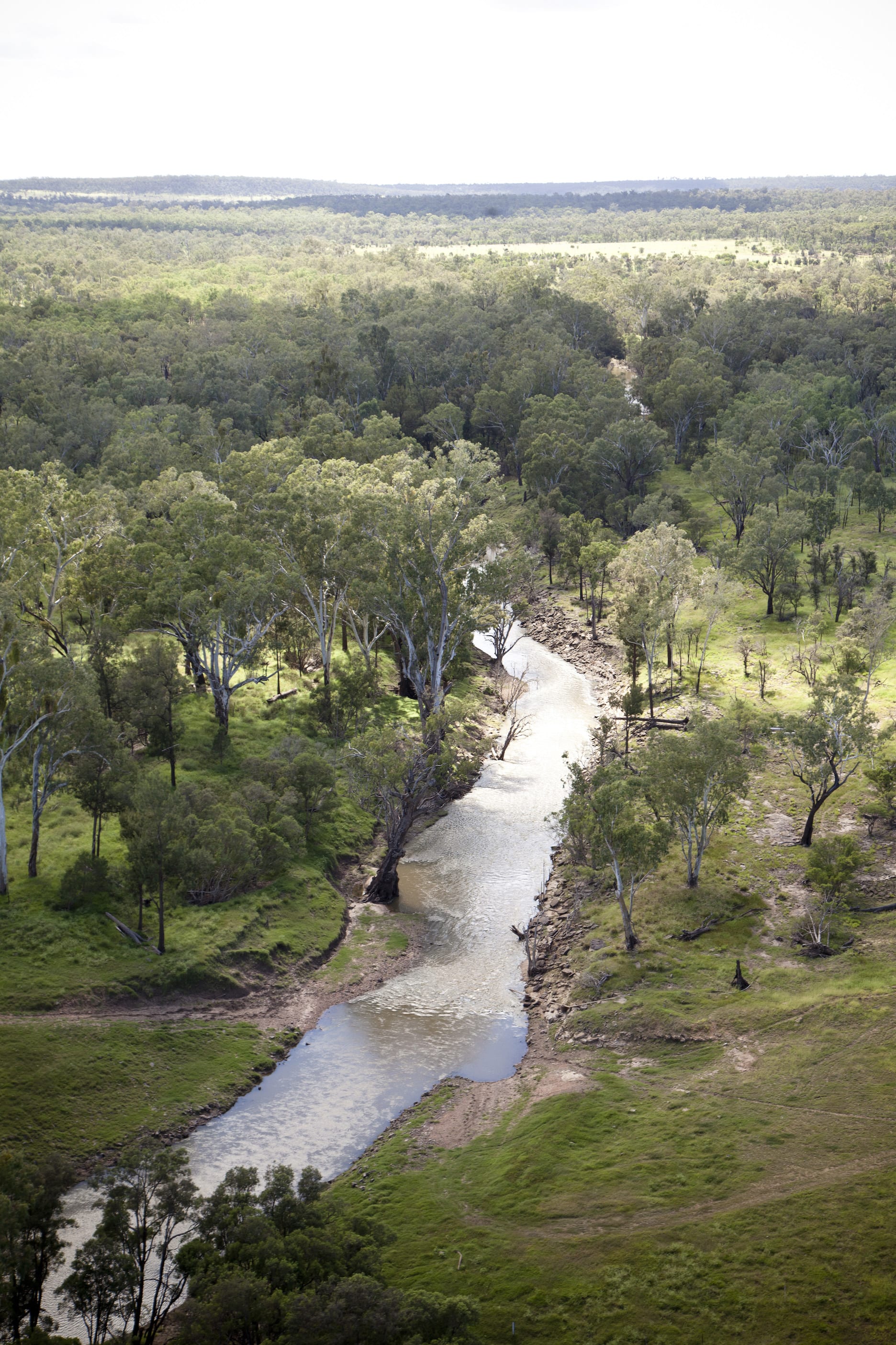 An aerial view of a river running through a lush green forest.