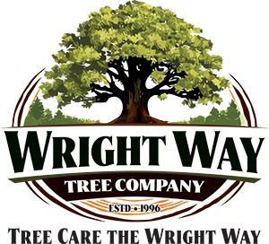 Tree Service in Lansing, MI | Wright Way Tree Company LLC Tree Service in Lansing, MI | Wright Way Tree Company LLC