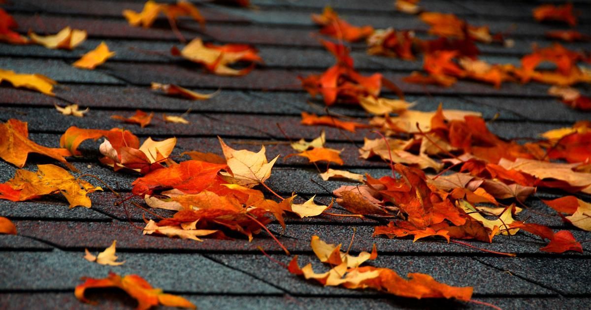 autumn leaves on roof