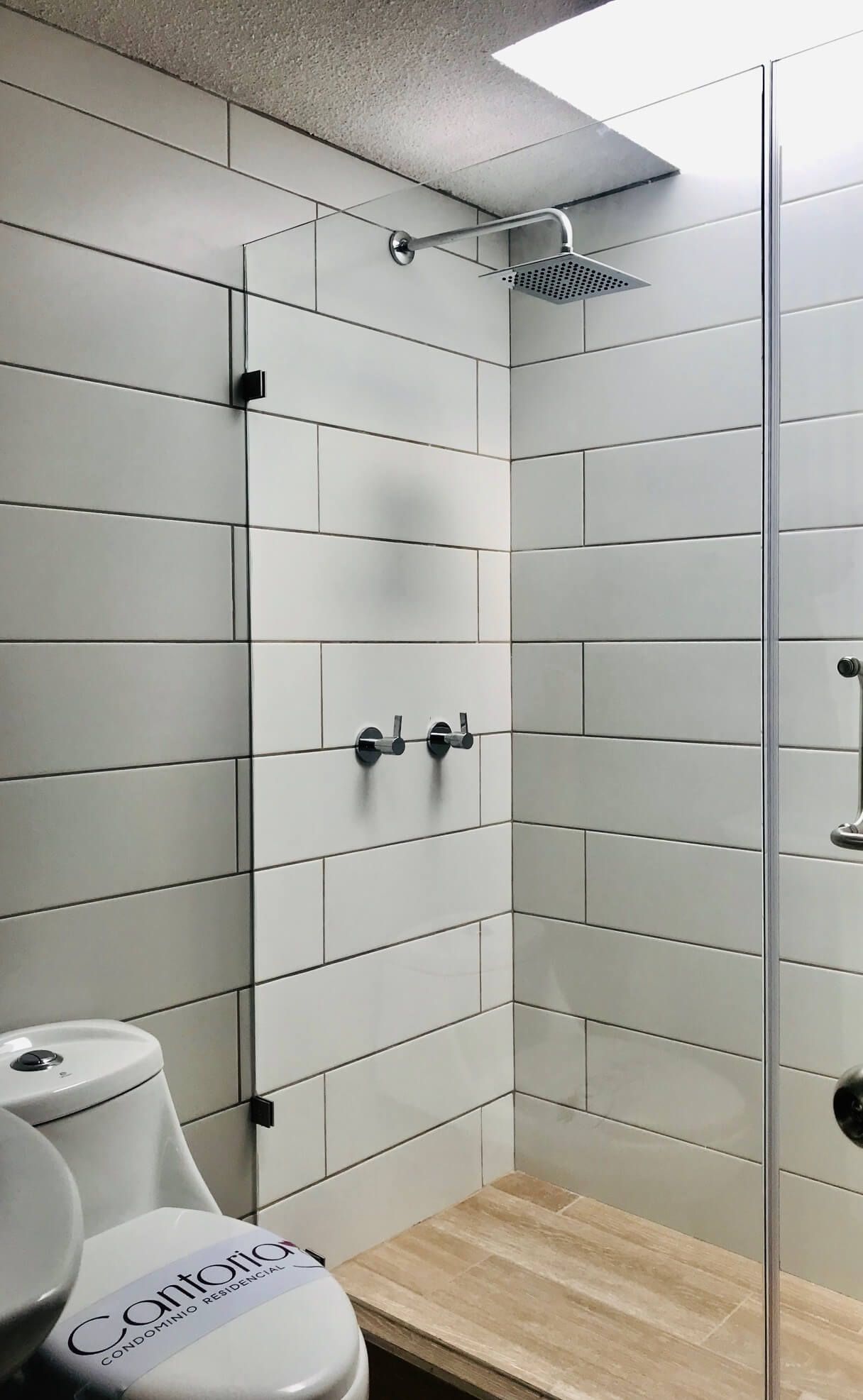 Hay un aseo y una ducha en el baño.