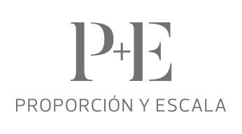 Un logotipo para una empresa llamada p + e proporción y escala