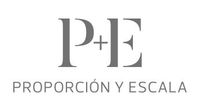 Un logotipo para una empresa llamada p + e proporción y escala