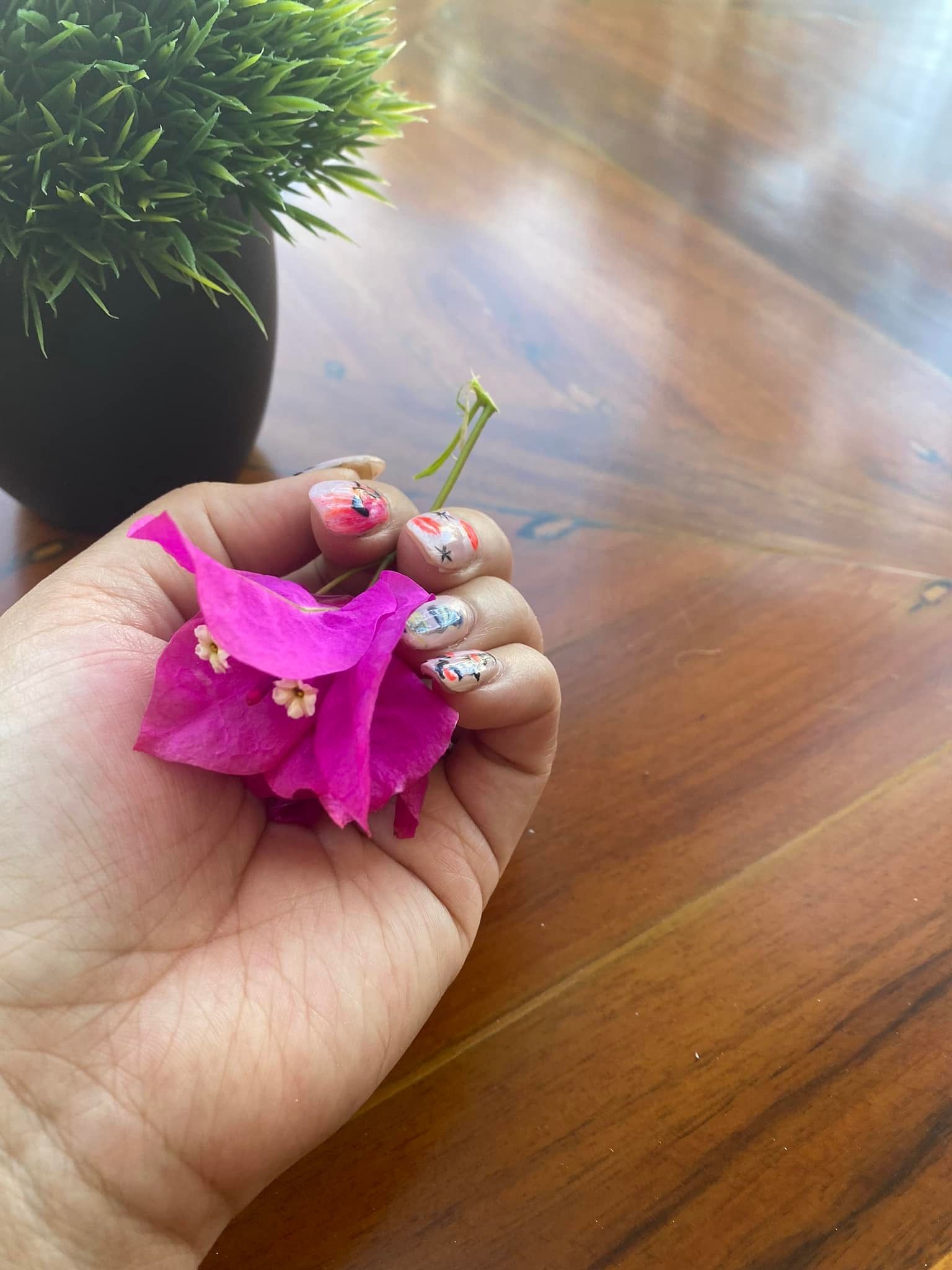 Hand holding a bright pink bougainvillea flower, with patterned nail polish, next to a potted plant, on a wooden table.