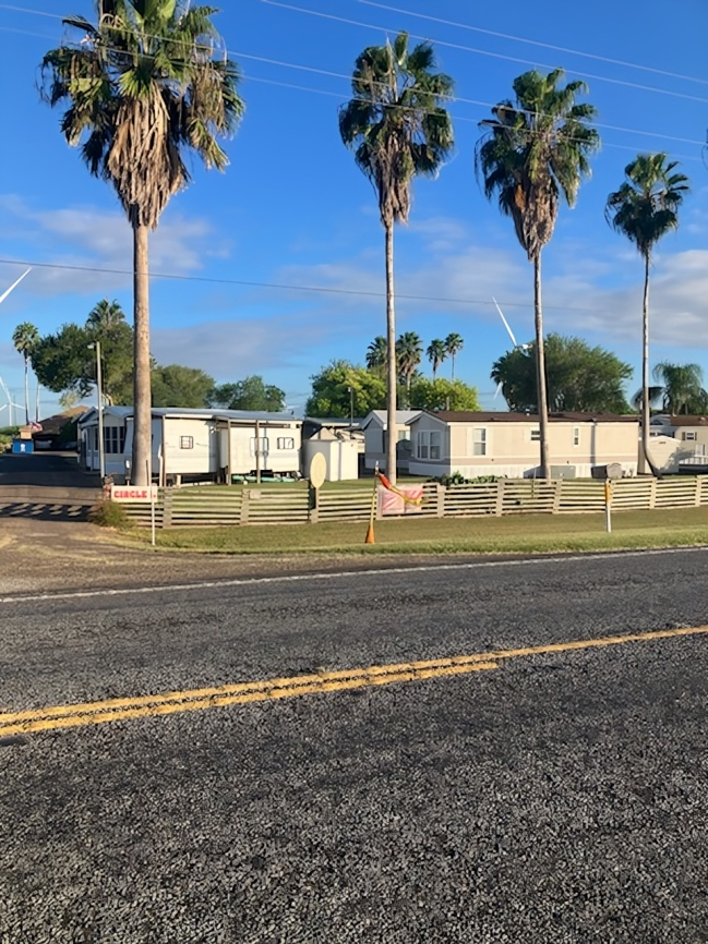 A row of palm trees along the side of a road