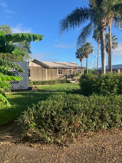 A house is surrounded by palm trees and bushes on a sunny day.