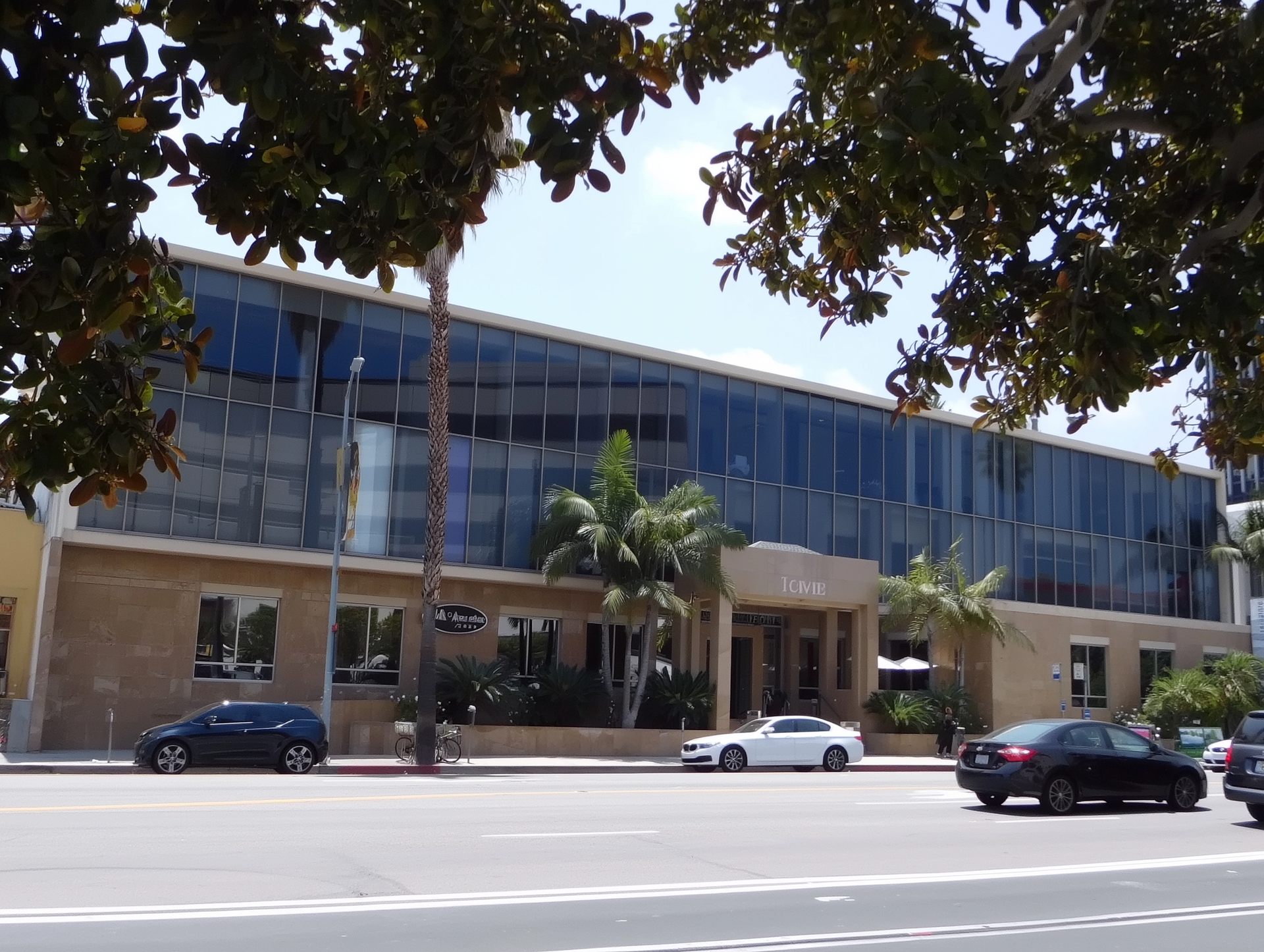 Modern office building with glass facade, palm trees, and cars parked along a sunny street