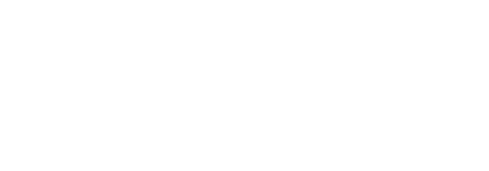 Conversion Store Logo