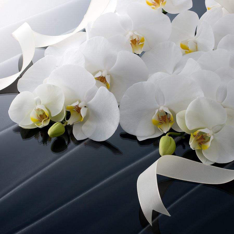 servizi funebri Montella