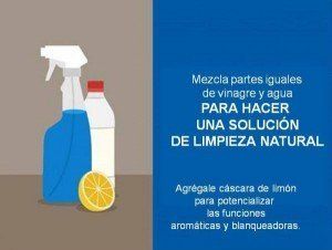 Cómo limpiar el hogar sin químicos: 5 sustitutos naturales para hacerlo de  manera segura, Estilo de Vida Hogar