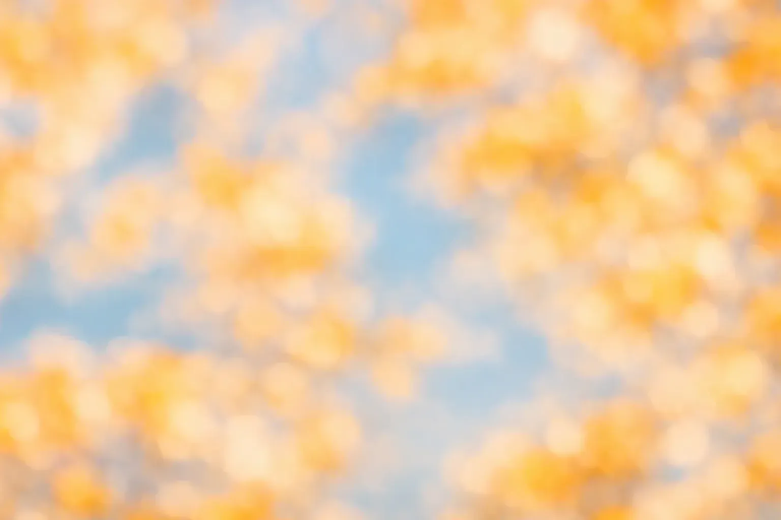 FAQ - practical magic beauty by lindsay