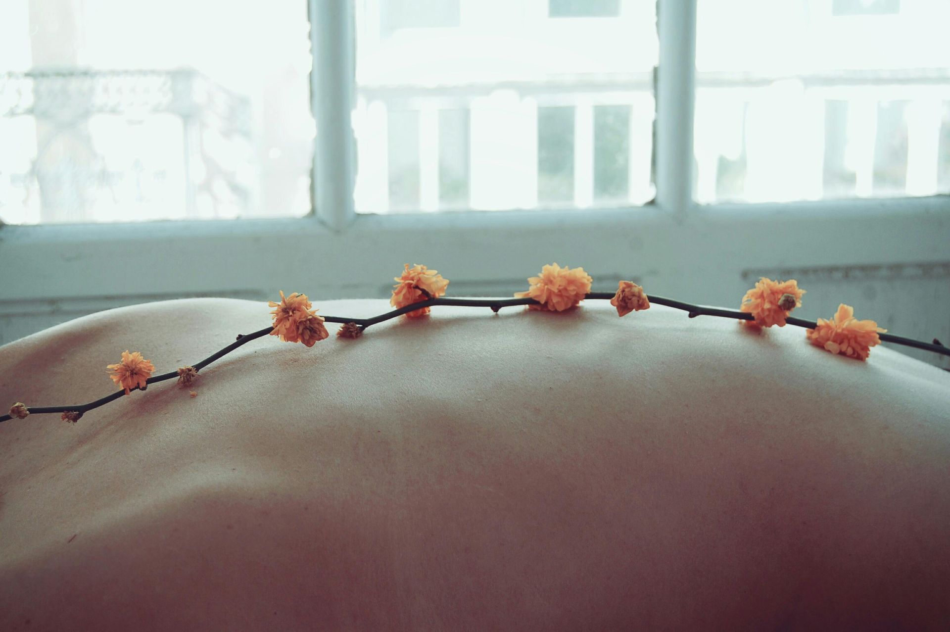 A bare back with a thin branch of orange flowers laid across it; a window in the background.