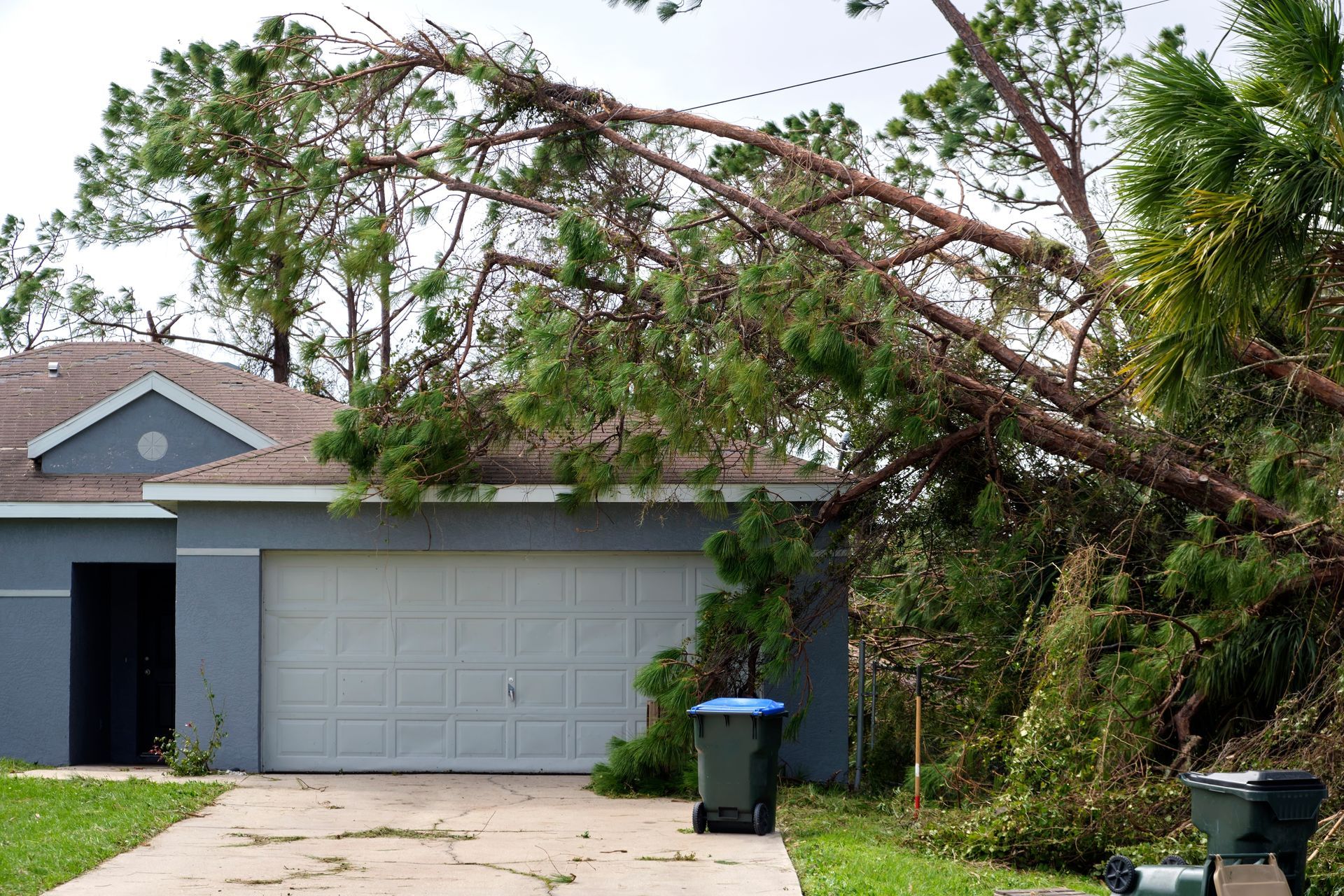 A tall pine tree has fallen across the roof of a suburban gray house after a storm, with trash bins in the driveway.
