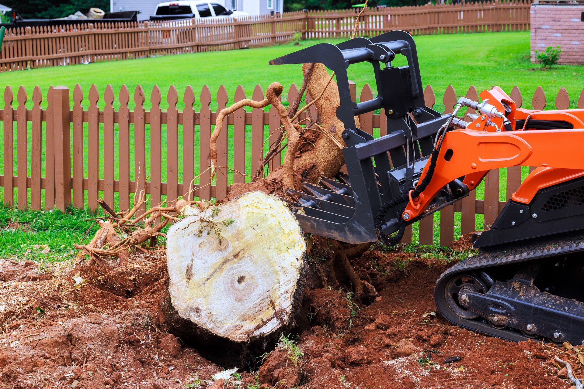 An orange skid steer with a grapple attachment lifting a large tree stump out of the dirt in front of a wooden fence.
