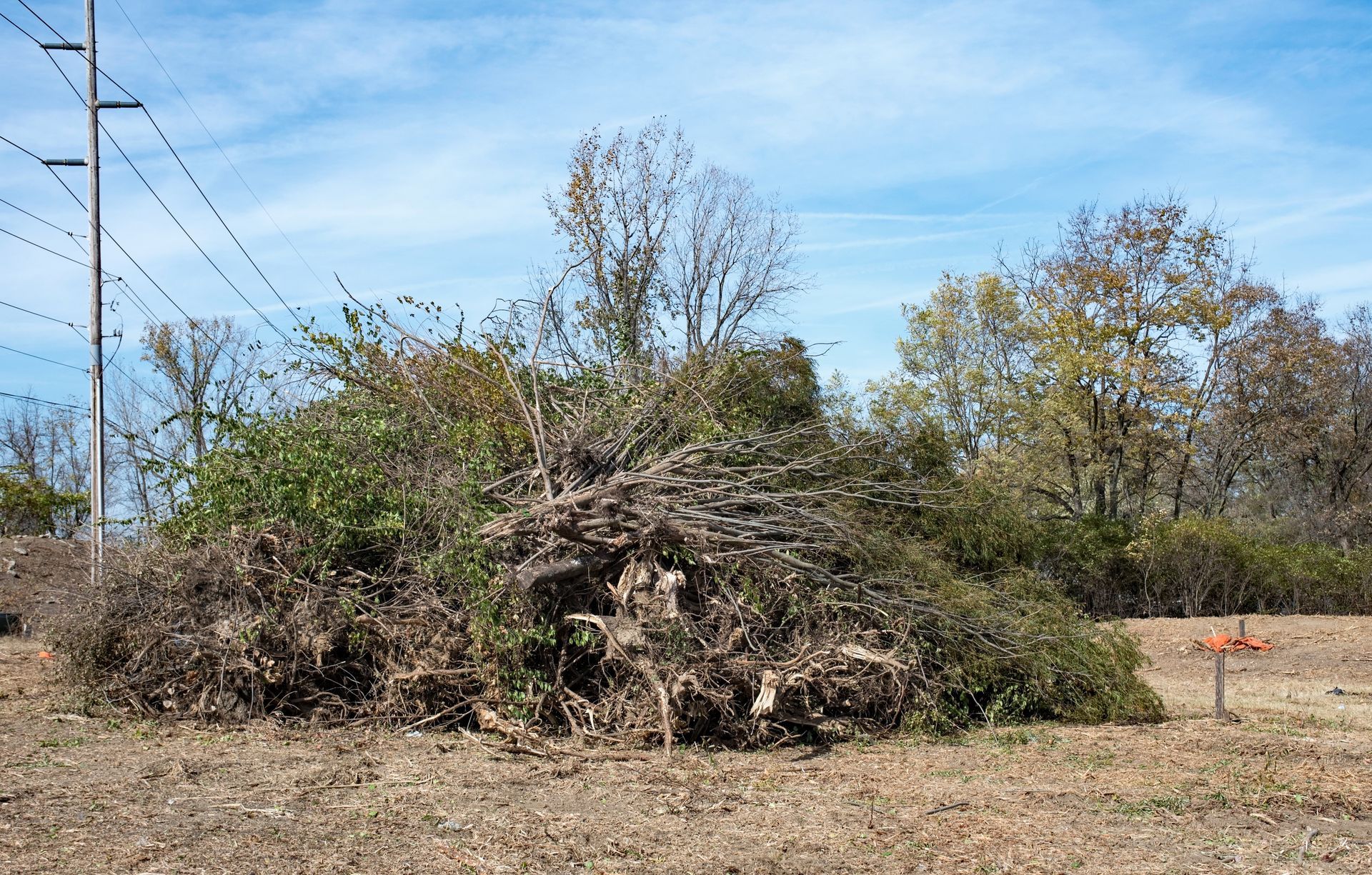 A large, chaotic pile of cut tree branches and brush sits in a sunny field near an electric pole and distant trees.