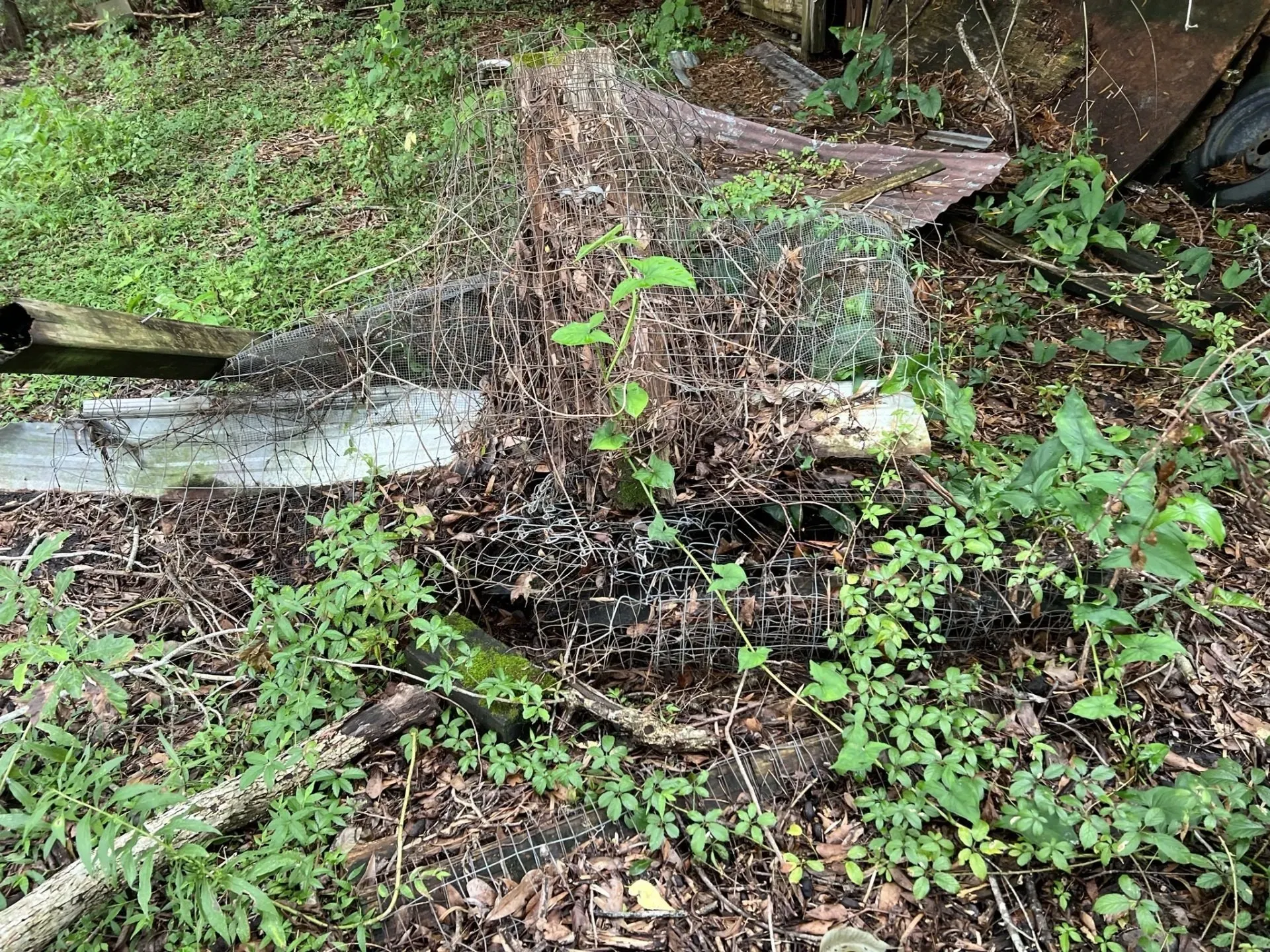 yard debris junk pick up near me in Ocala