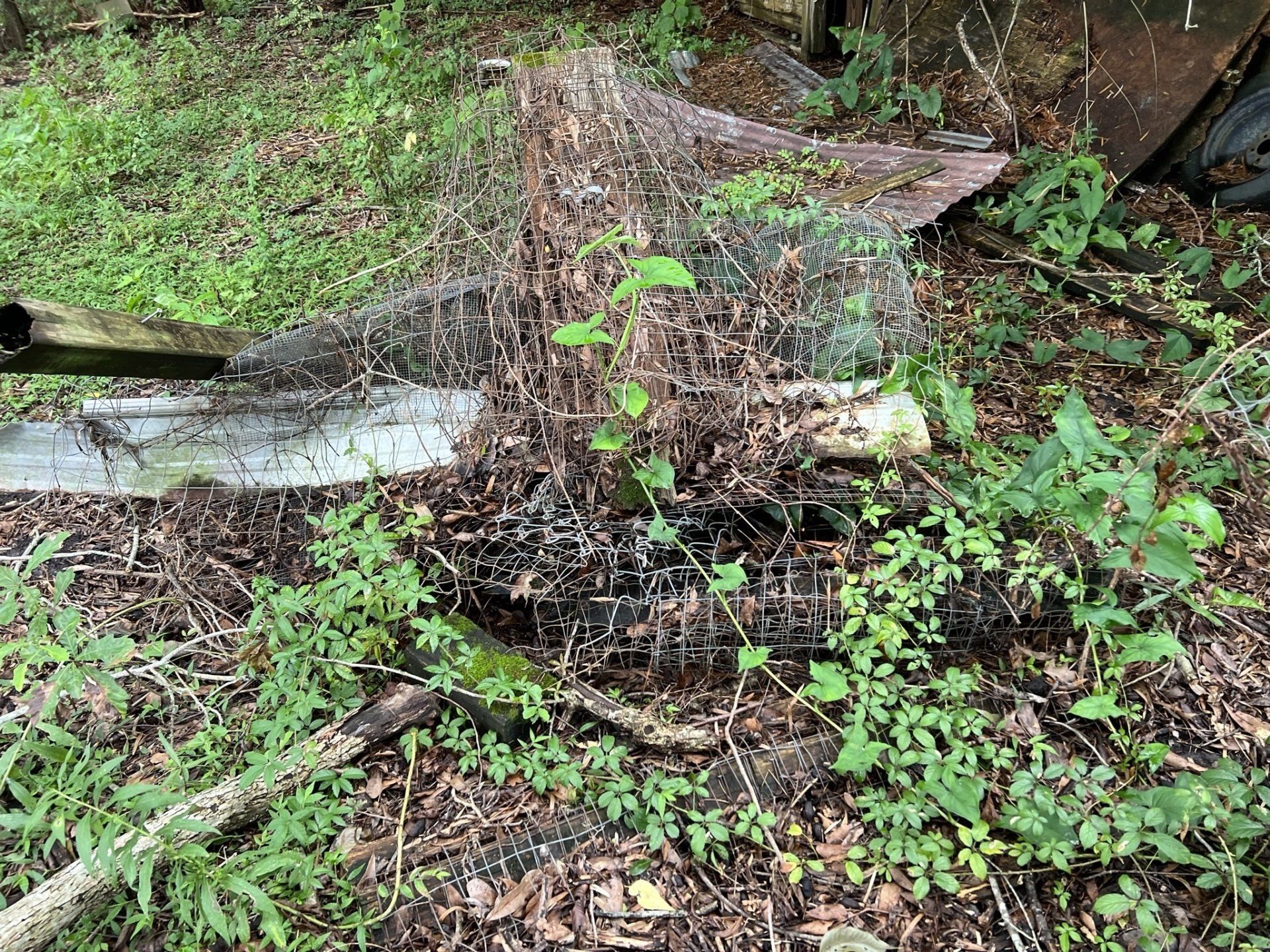 yard debris removal services