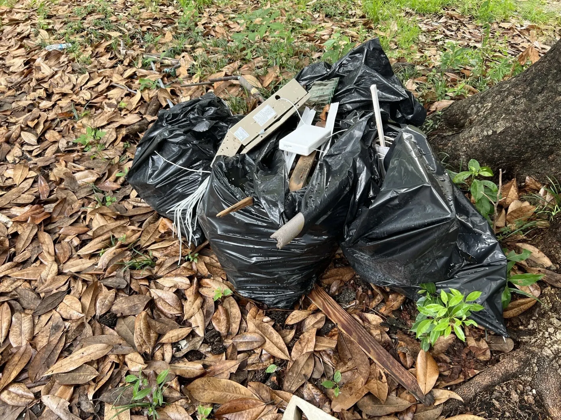 yard waste removal near me in ocala fl