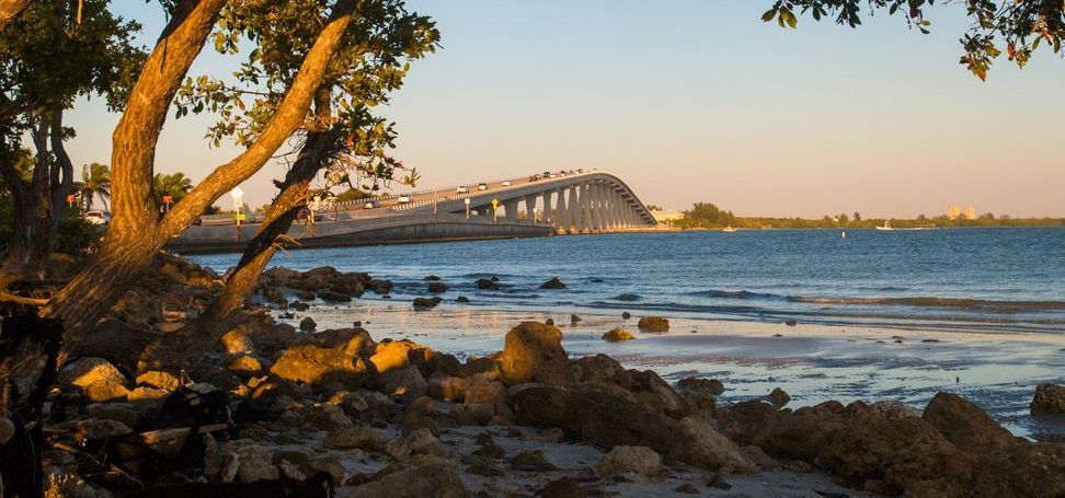 A bridge over a body of water with a tree in the foreground.