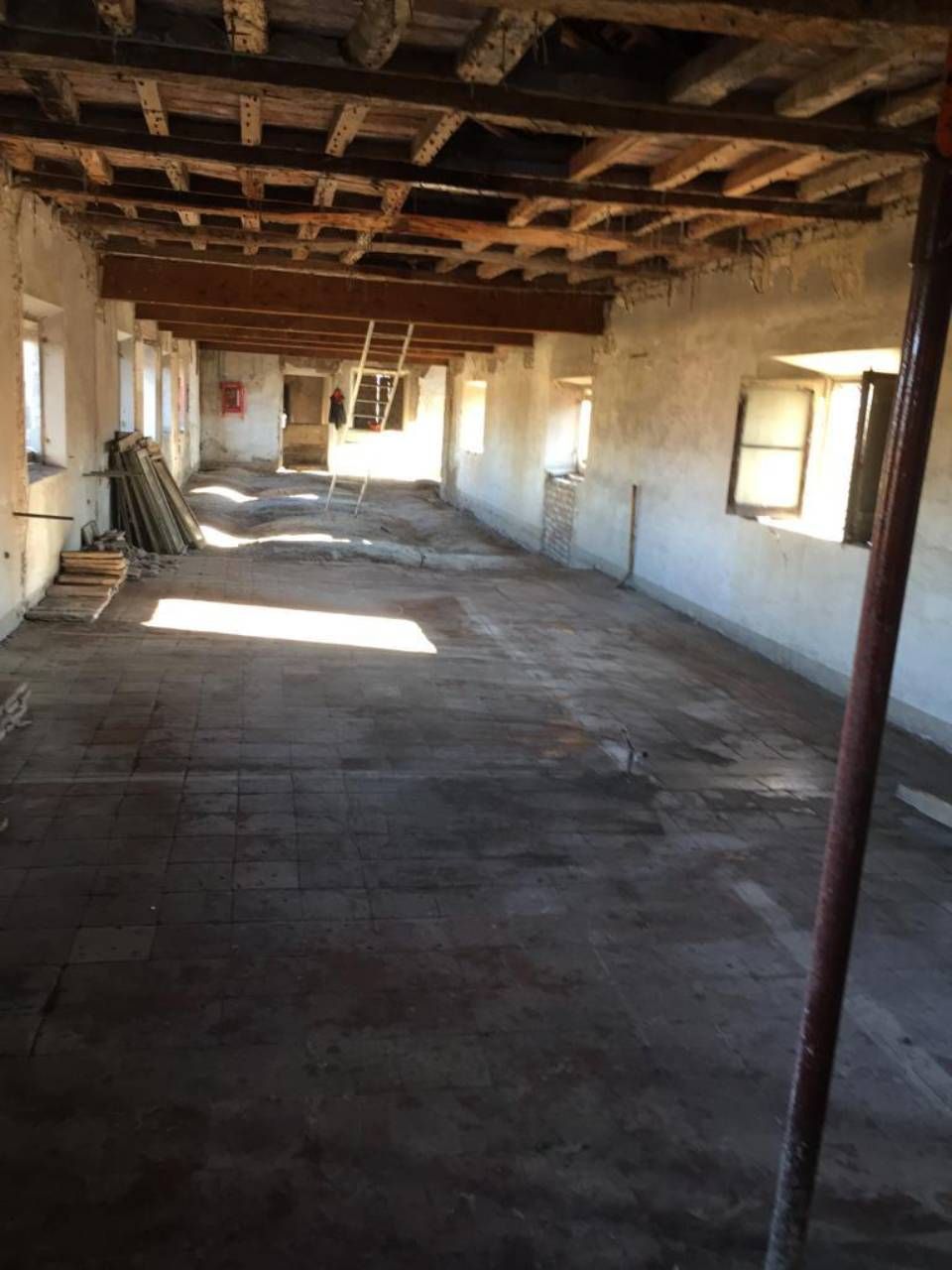 Bonifica del guano a Bologna