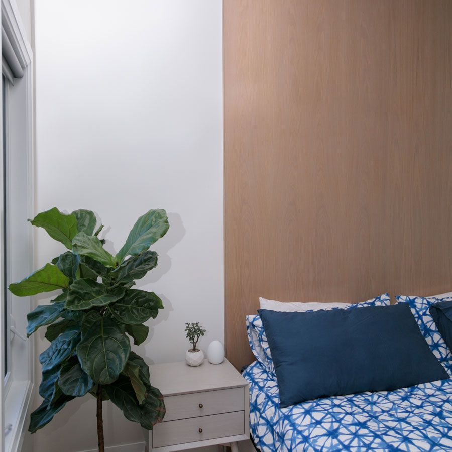 A bedroom with a bed , nightstand , plant and window.