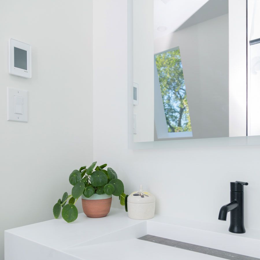 A bathroom sink with a plant and a mirror