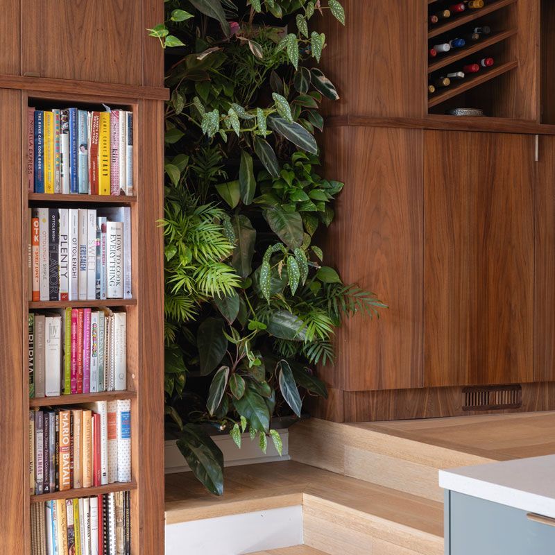 A bookshelf with a plant behind it and a book that says ' mind ' on it