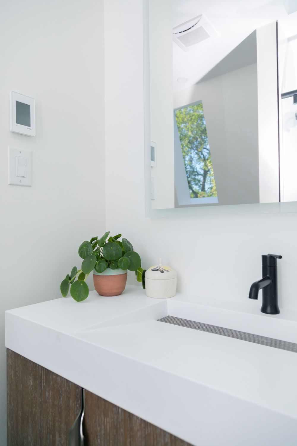 A bathroom remodel sink with a potted plant on top of it.