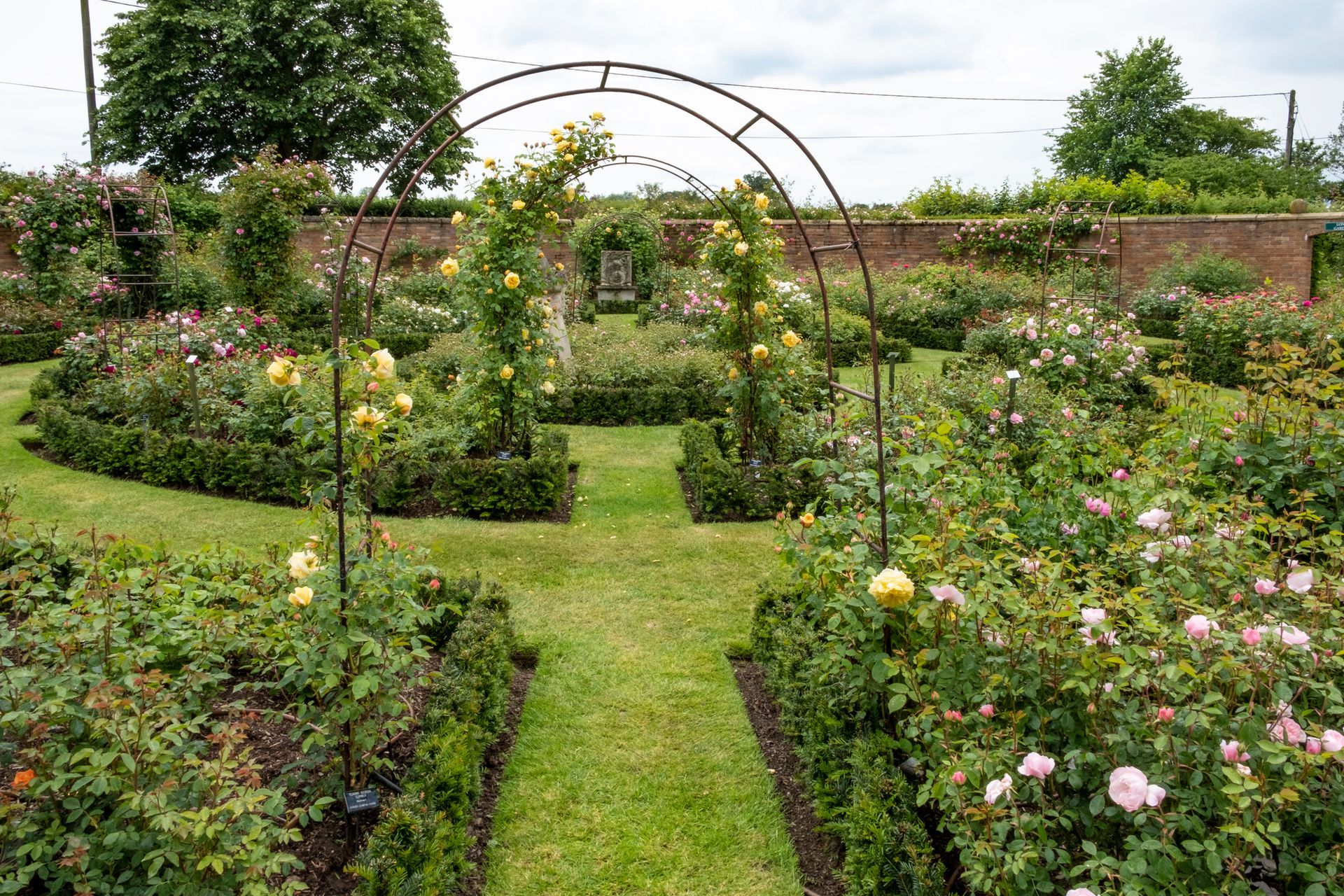 A garden filled with lots of flowers and a metal archway.