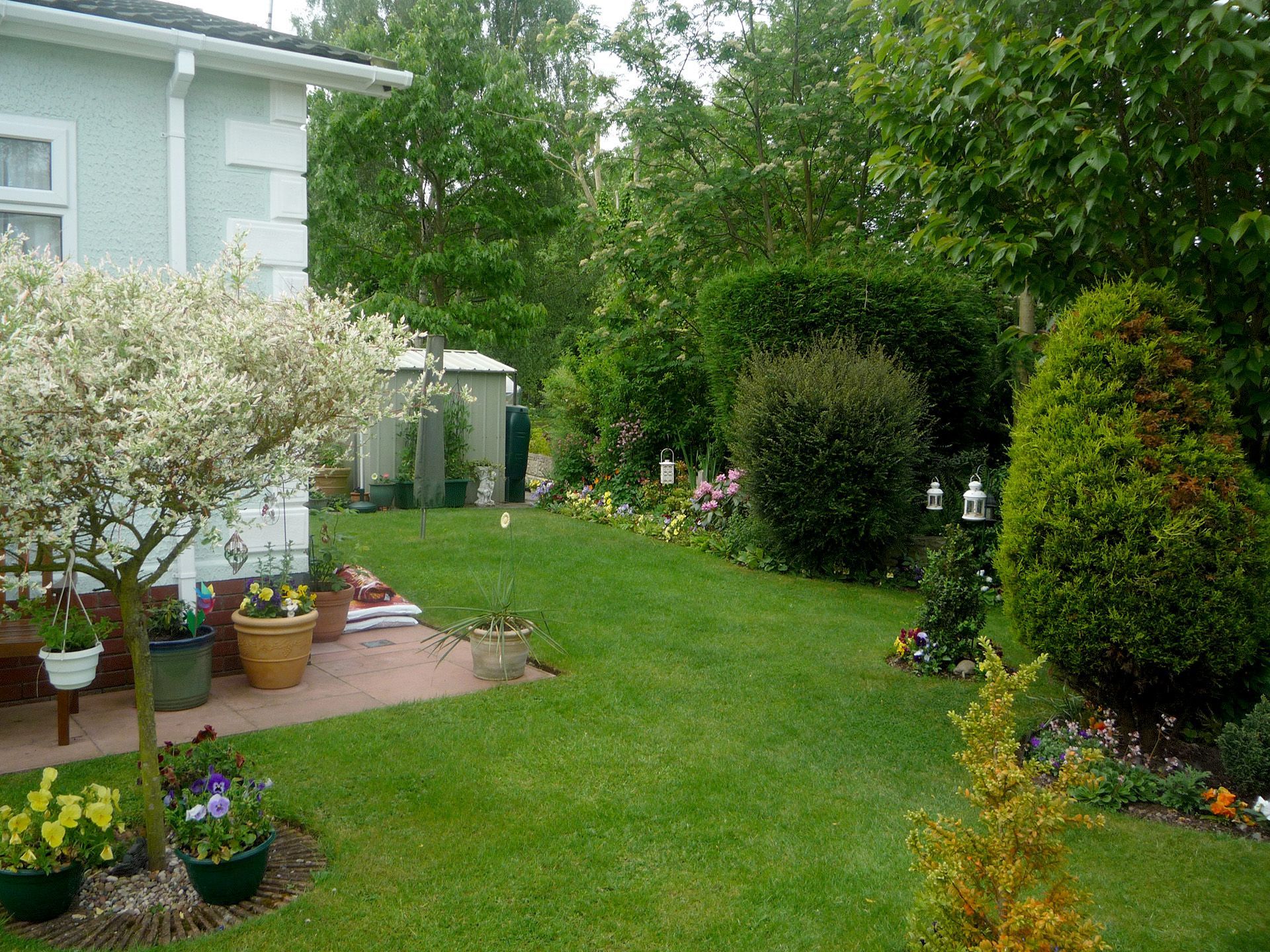 A lush green yard with a white house in the background