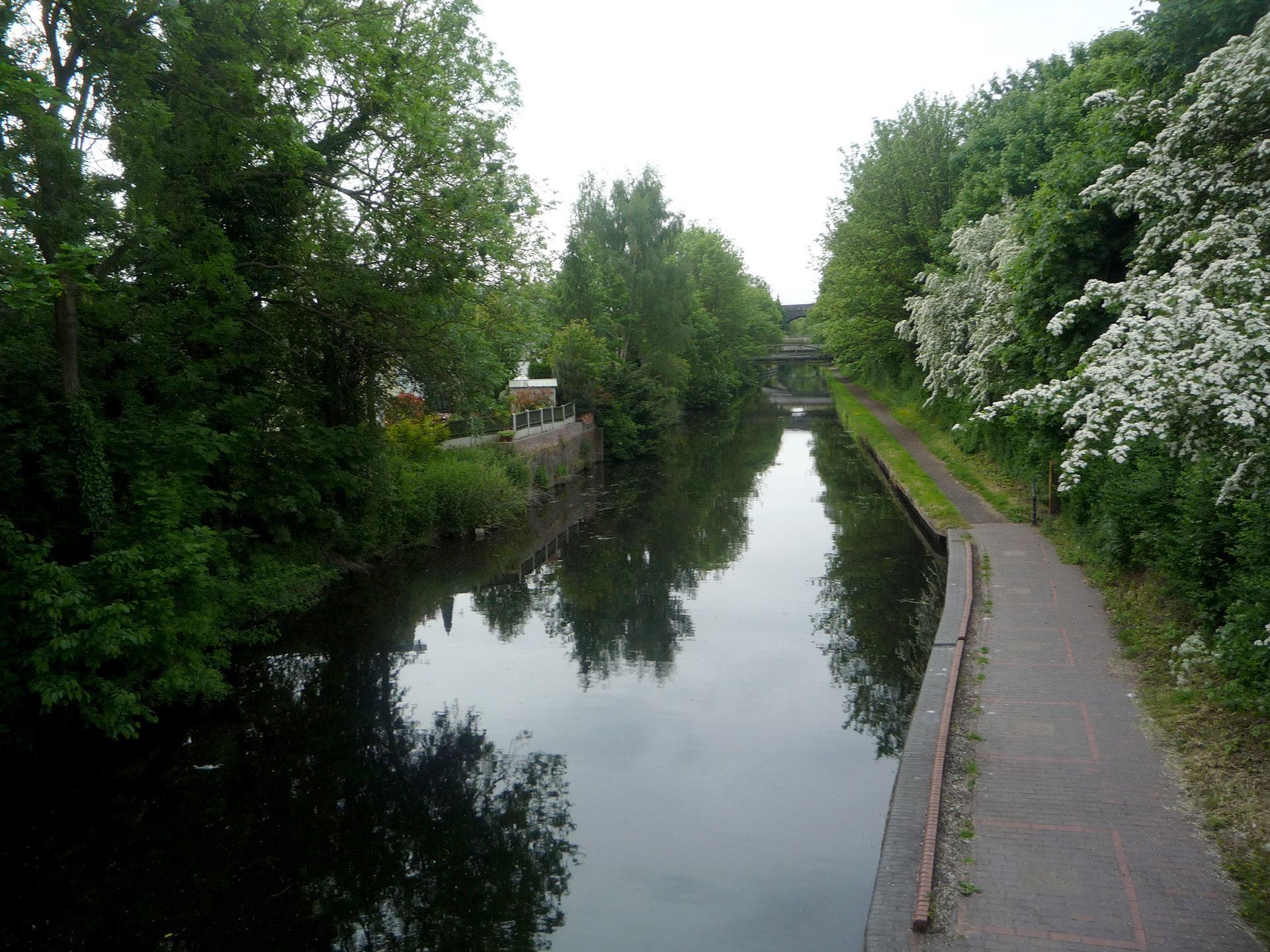 A river surrounded by trees and a concrete walkway