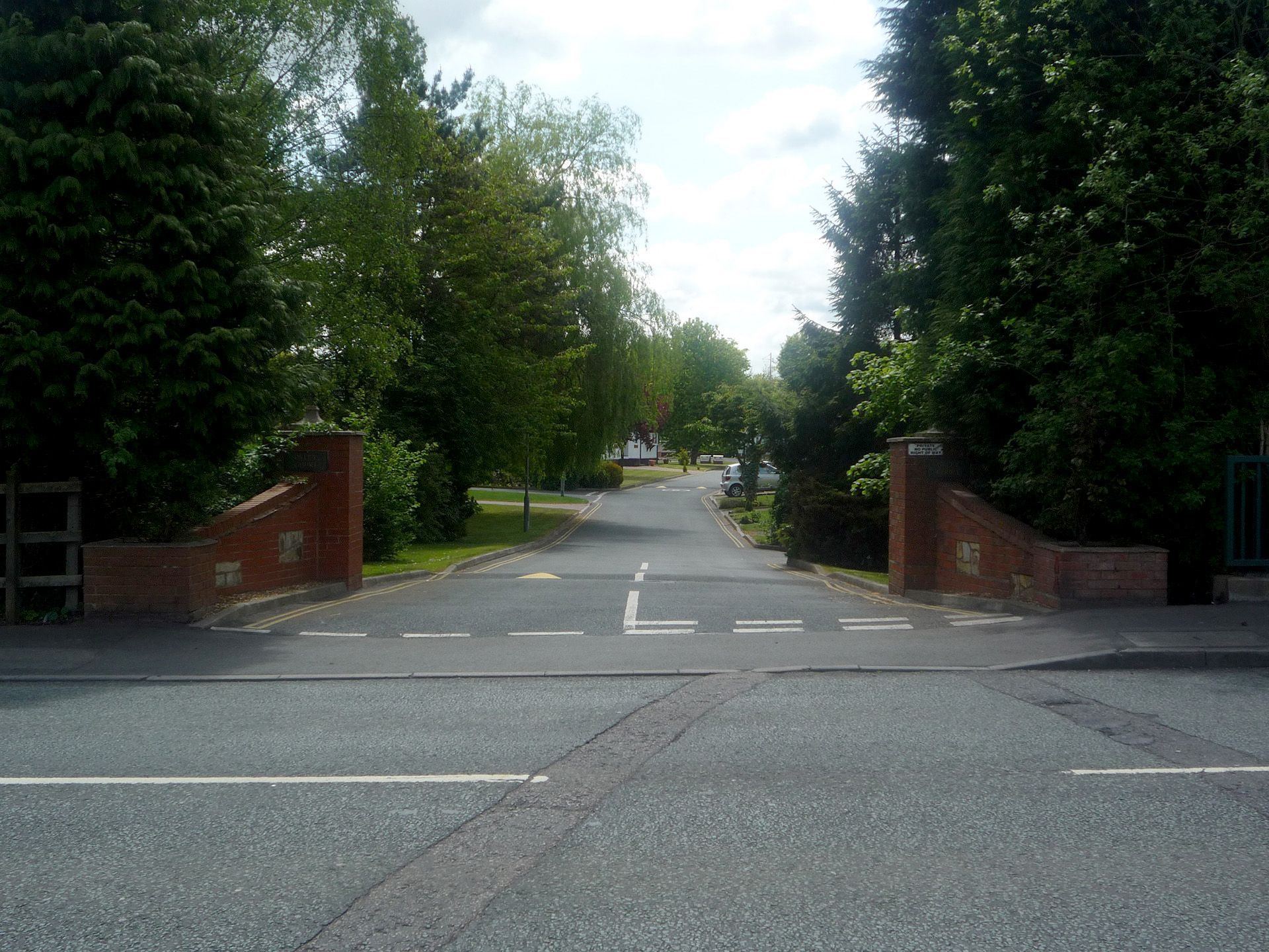 A road with trees on both sides of it