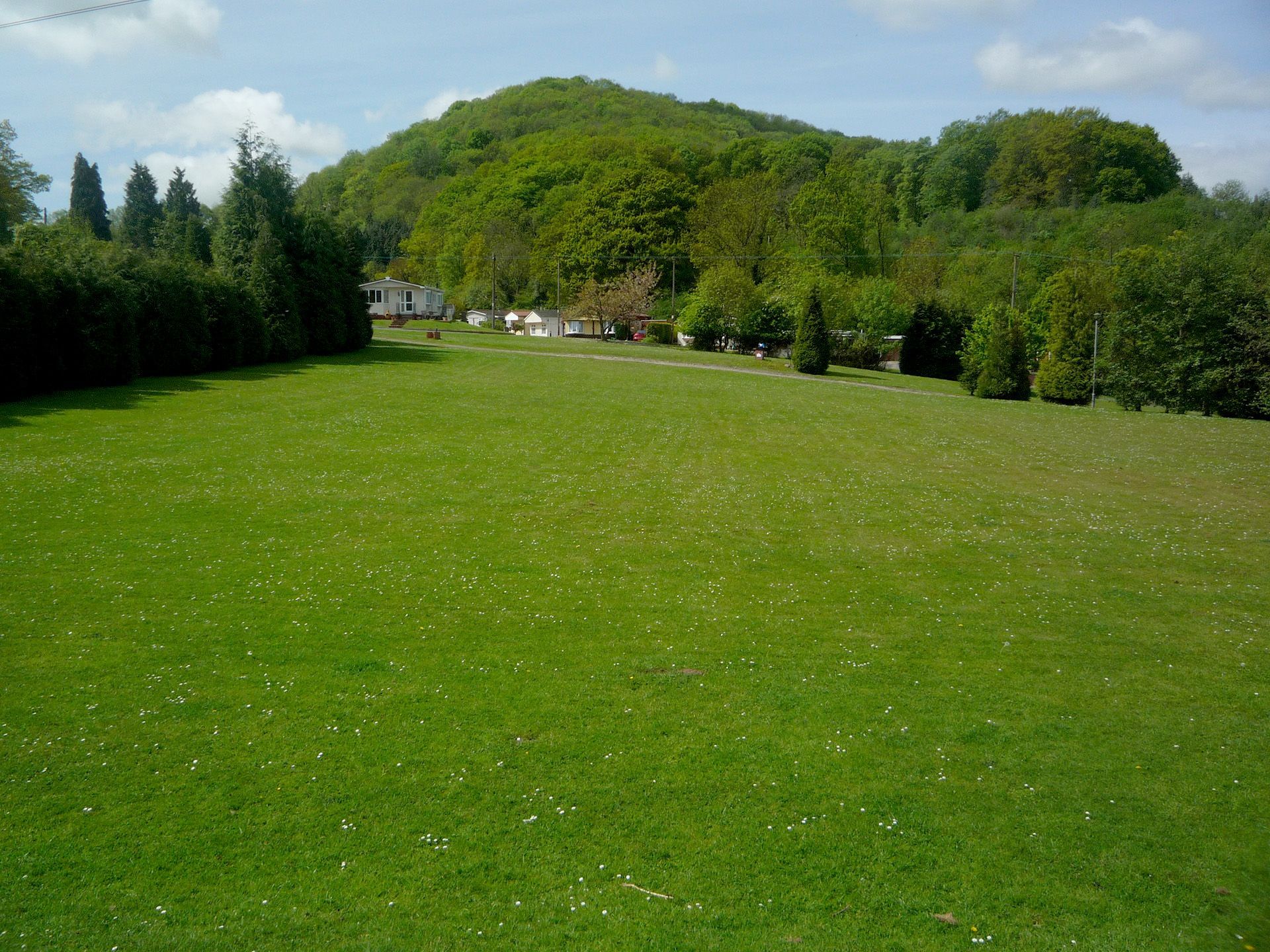 A large grassy field with trees in the background