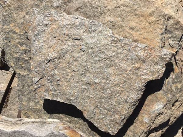 Grey quartzite - flagstone in Franktown, CO