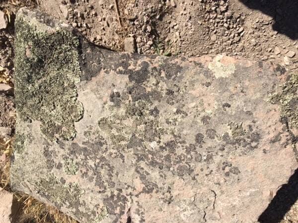 Moss Rock Boulders - landscape boulders in Franktown, CO