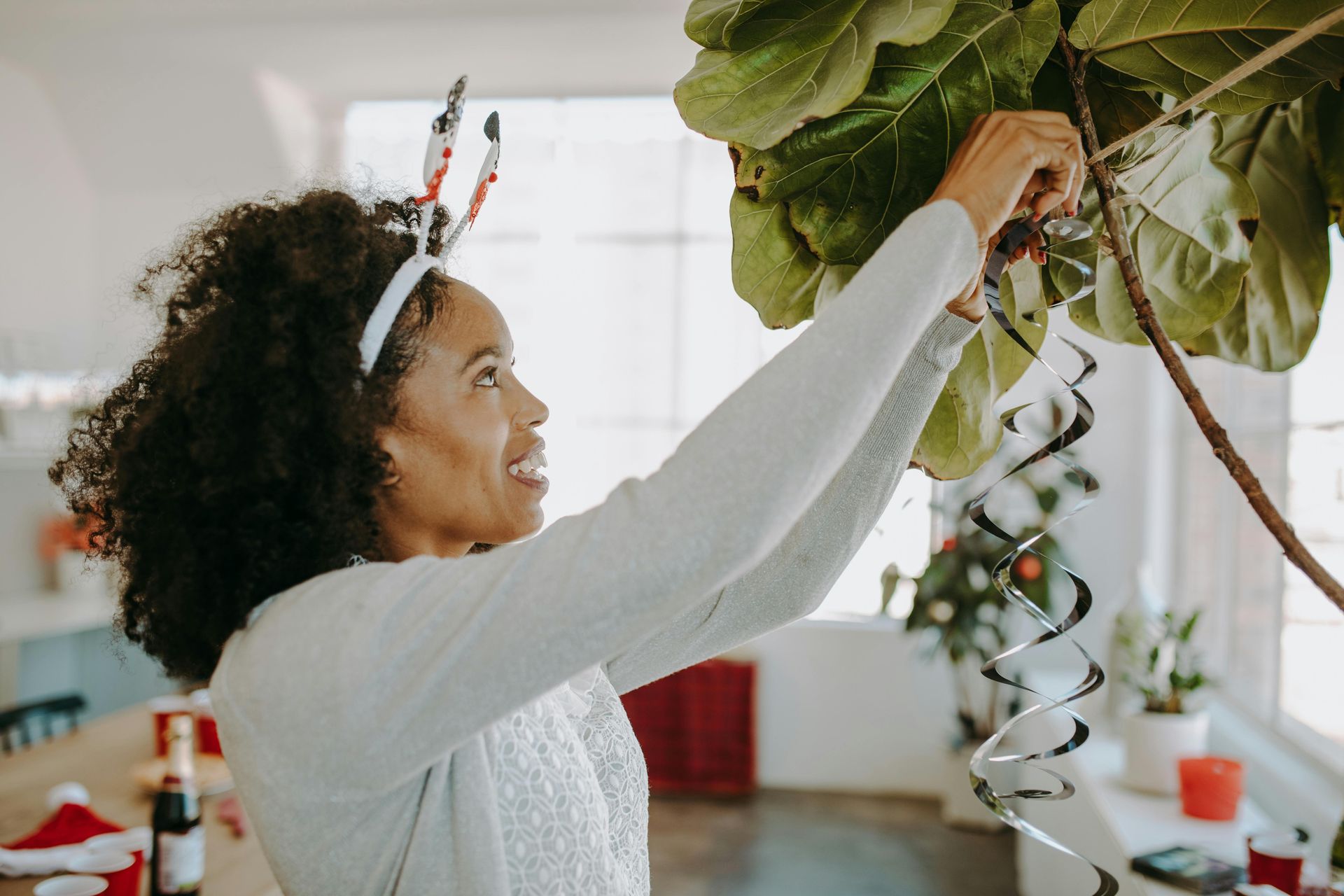 A woman is decorating a fiddle leaf fig tree for christmas.