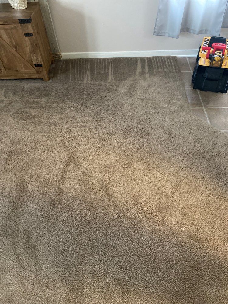 Green's Steem Clean -Carpet cleaning