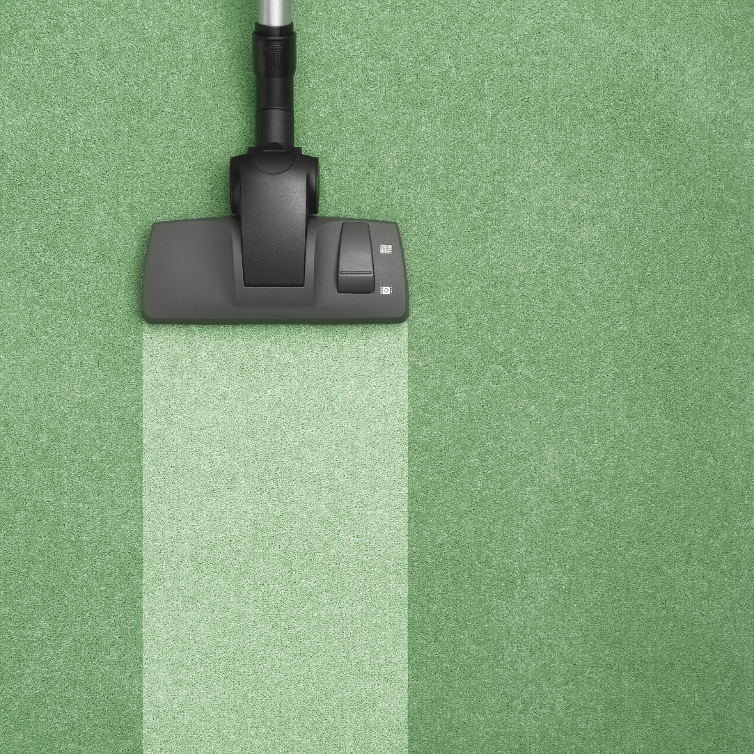 Green steam clean - our services - cleaning green carpet