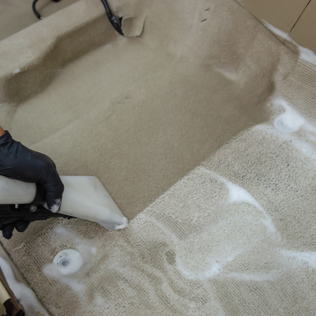 Green's Steem Clean - cleaning a carpet with a vacuum cleaner