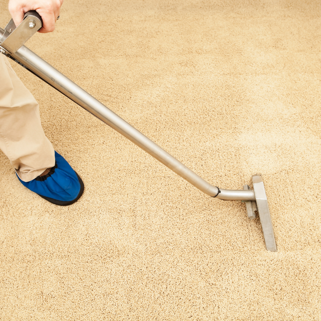 Green steam clean - our services - cleaning carpet