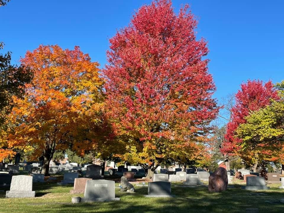 Trees in fall changing from green to red leaves over Columbia Cemetery in Columbia, MO.