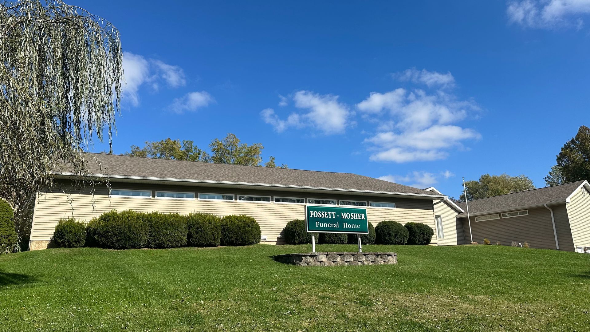 A golden field with trees at sunset