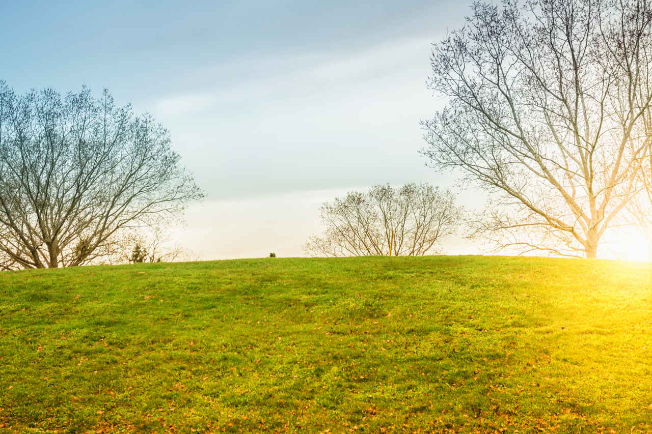 A green hill with a few trees, a shining sun and a blue sky