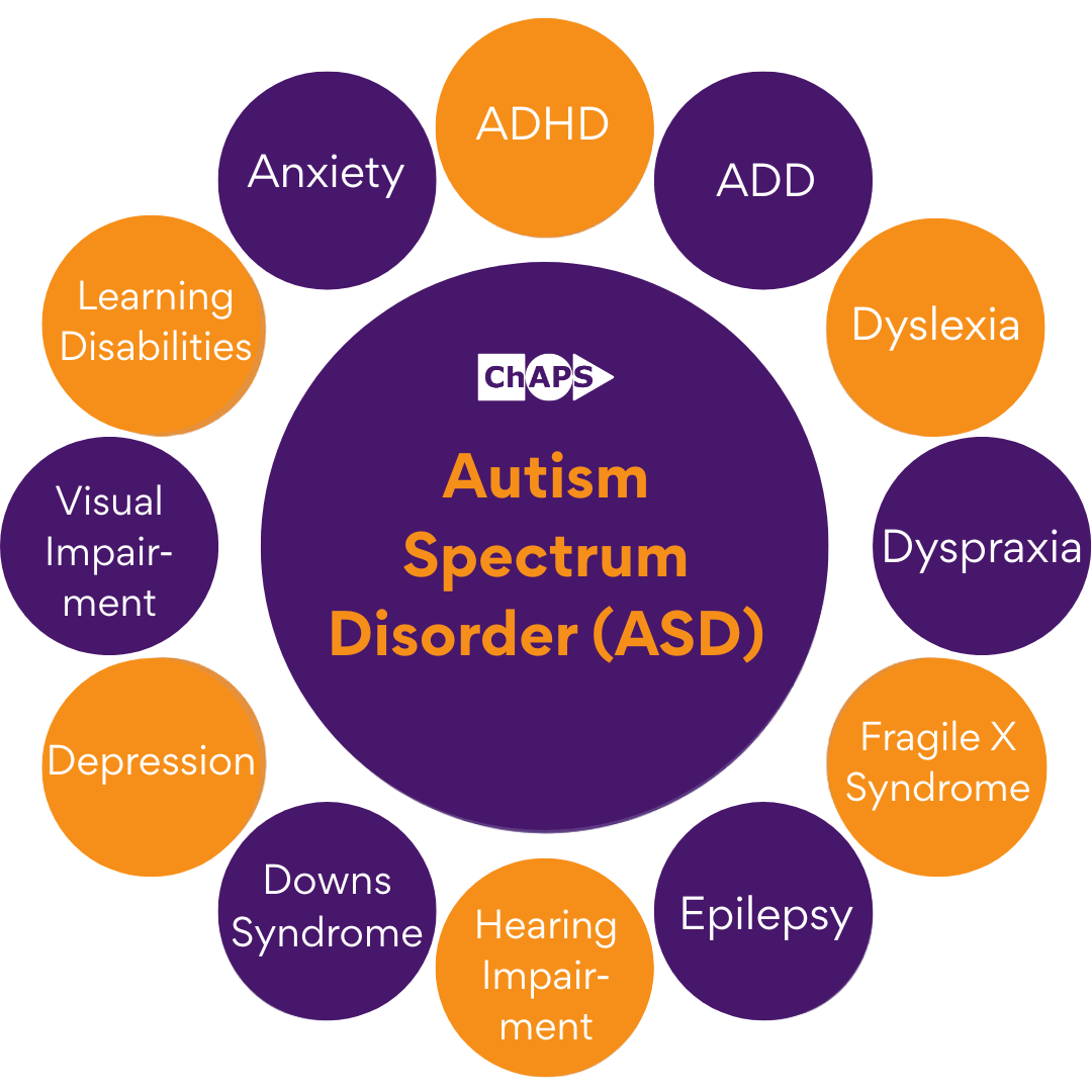 Cheshire Autism Practical Support | Cheshire