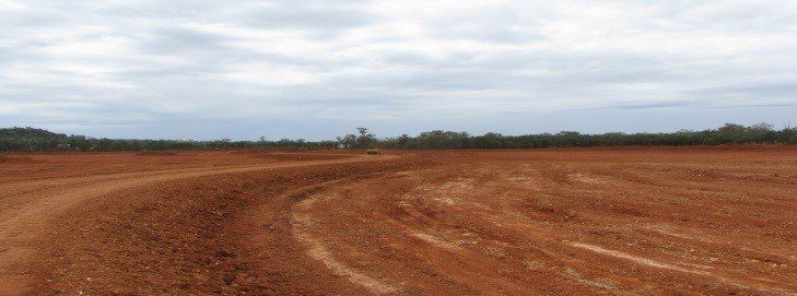 wide land field nymagee