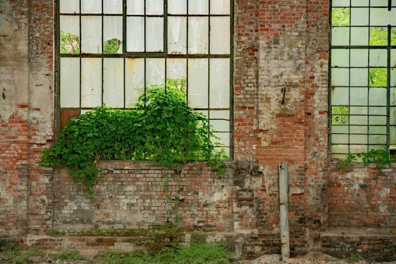 A brick wall is ready for tuckpointing and restoration work in Wichita, Kansas