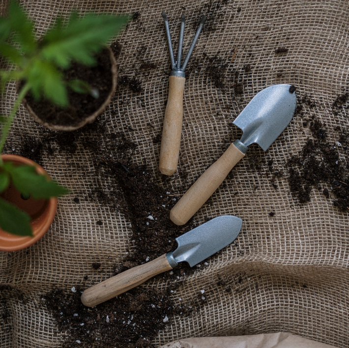 Garden Art Design - photo of garden tools while planting.