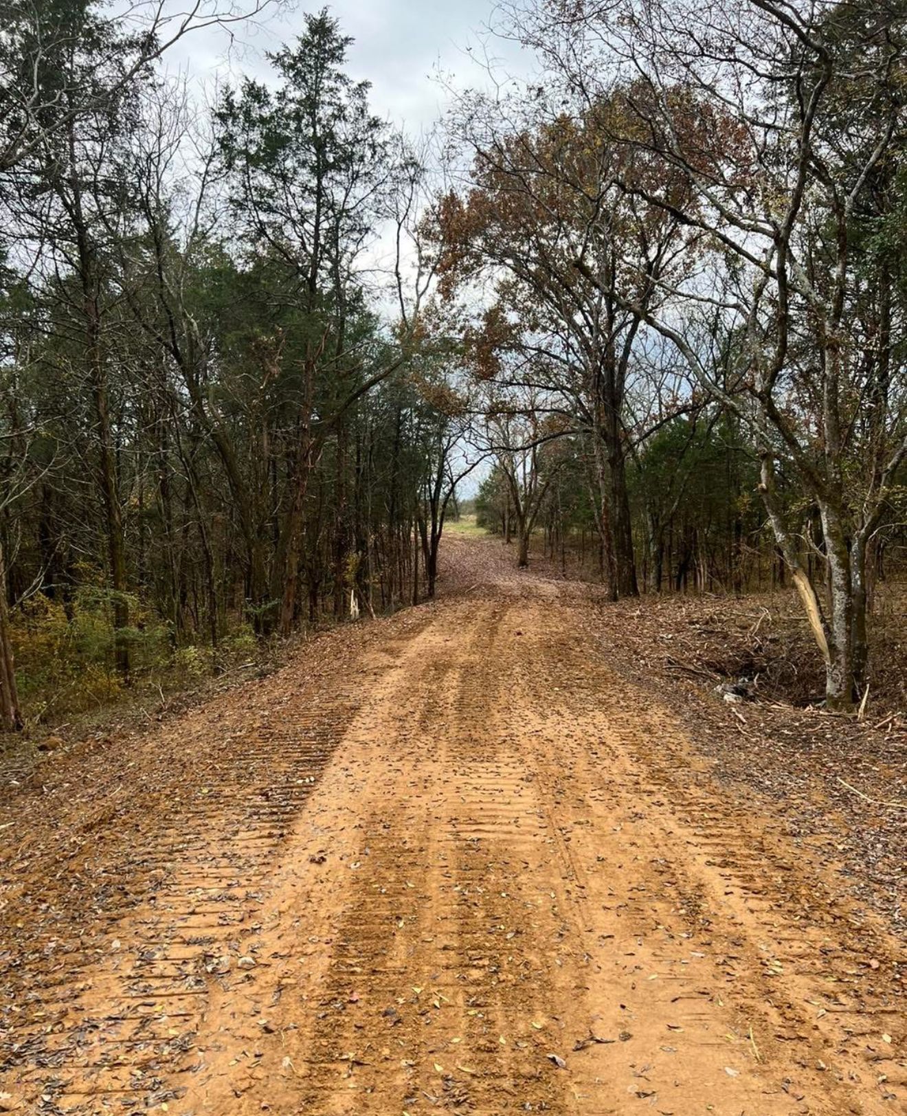 A dirt road going through a forest with trees on both sides.