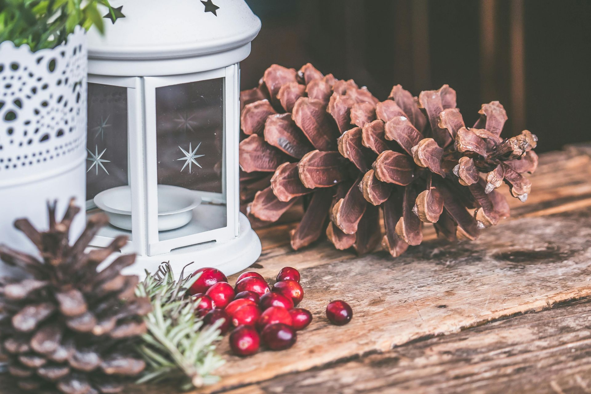 Pinecones, cranberries, and a white lantern on a wooden surface.
